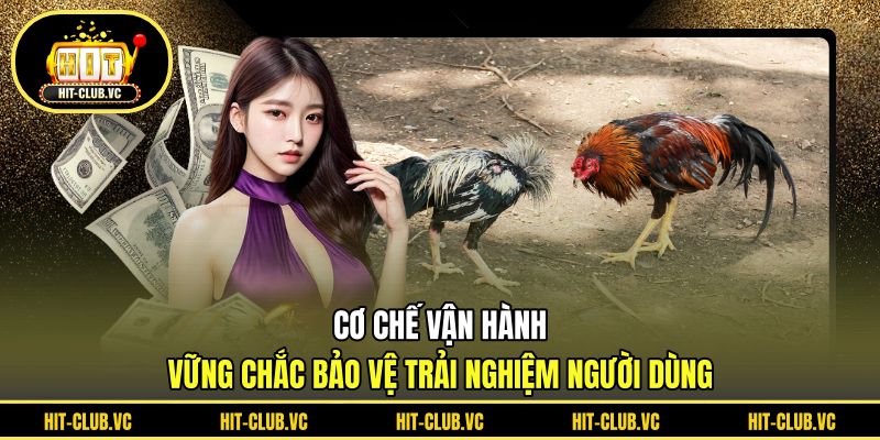Cơ chế vận hành vững chắc bảo vệ trải nghiệm người dùng